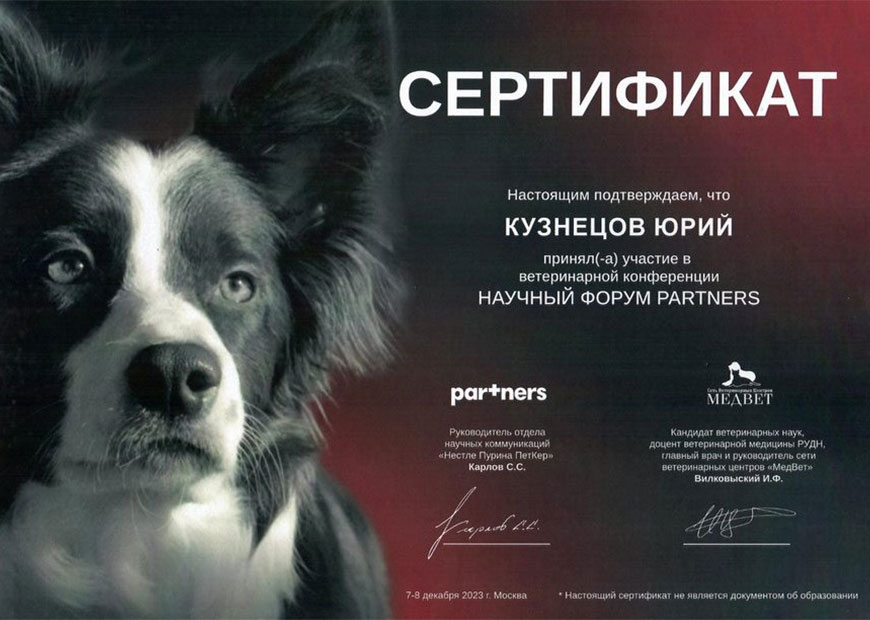 Кузнецов Юрий Алексеевич