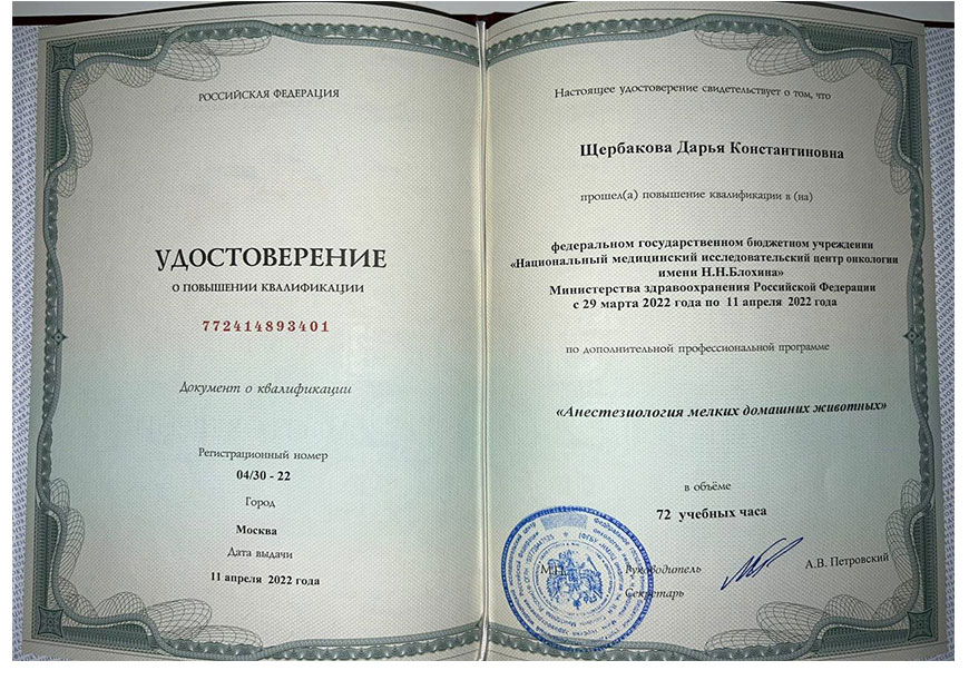 Денисова Дарья Константиновна