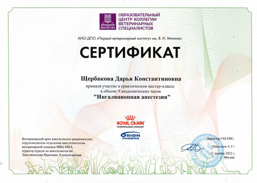 Денисова Дарья Константиновна