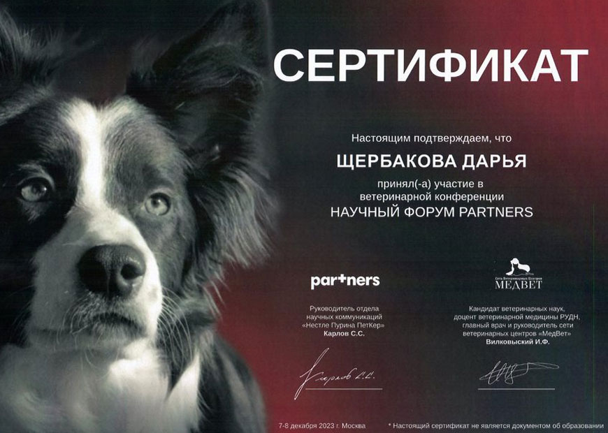 Денисова Дарья Константиновна