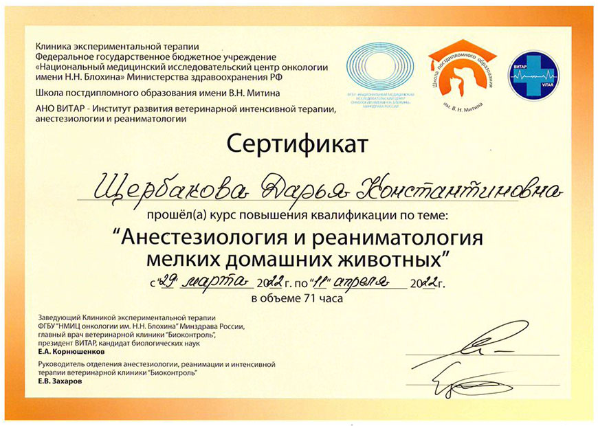 Денисова Дарья Константиновна