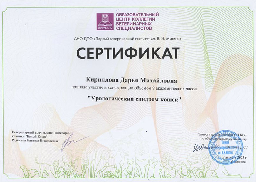 Кириллова Дарья Михайловна
