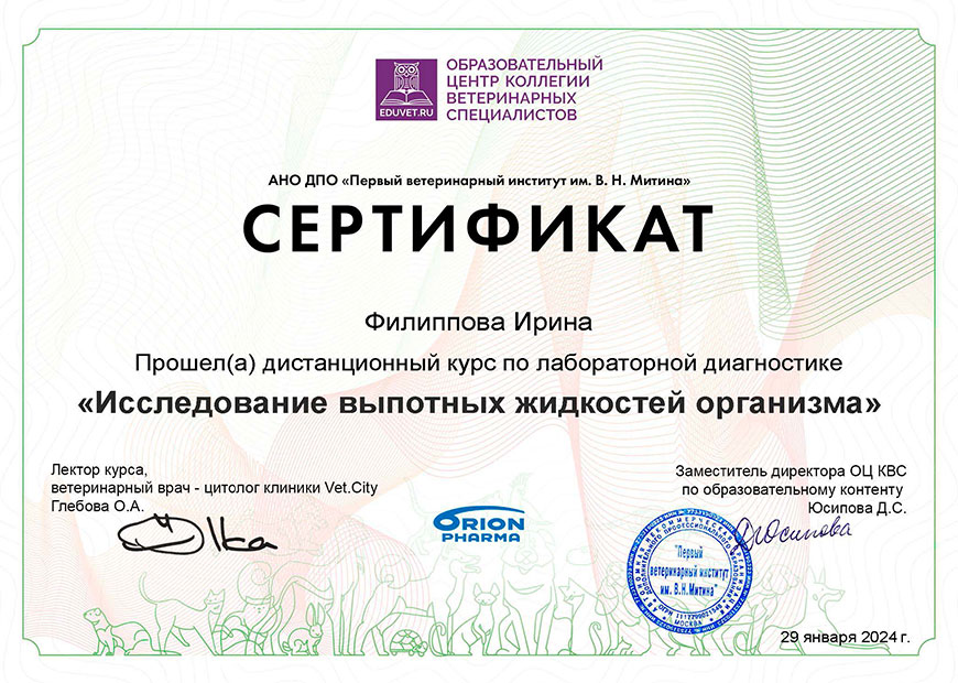 Филиппова Ирина Александровна