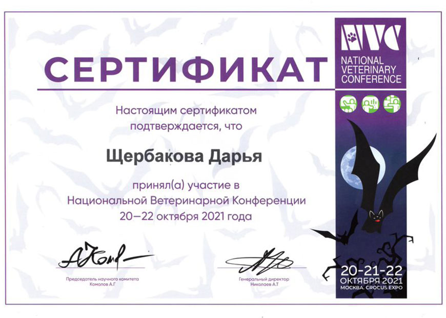 Денисова Дарья Константиновна