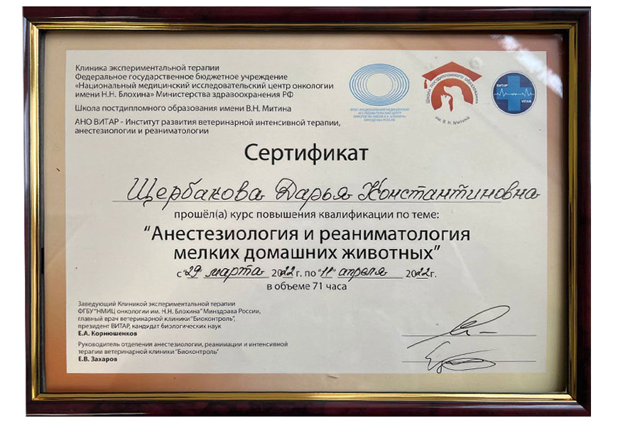 Денисова Дарья Константиновна