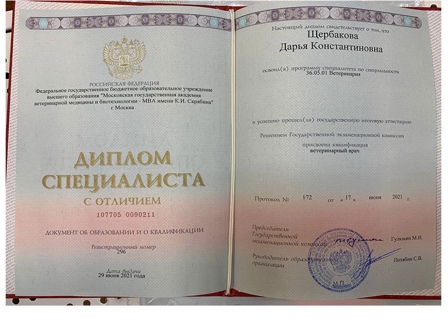 Денисова Дарья Константиновна