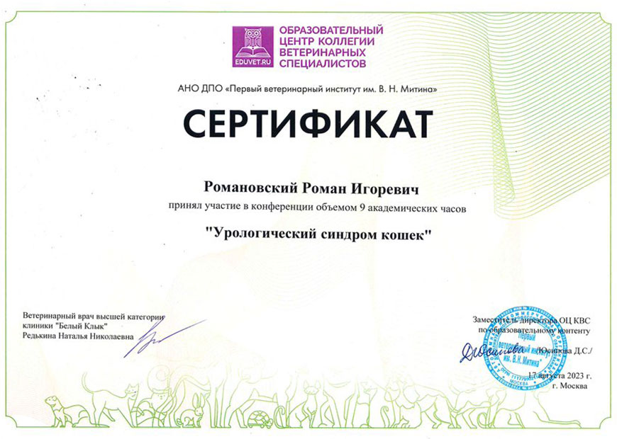 Романовский Роман Игоревич