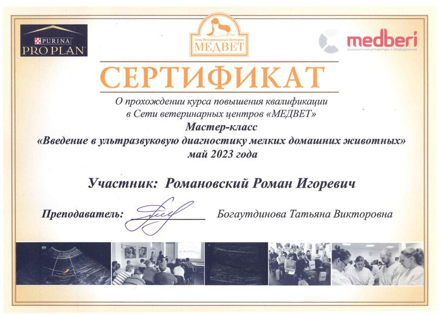 Романовский Роман Игоревич