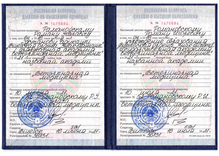 Романовский Роман Игоревич