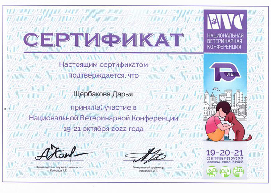 Денисова Дарья Константиновна