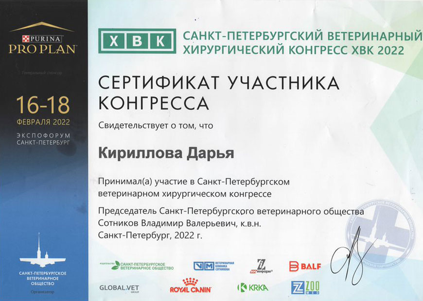 Кириллова Дарья Михайловна