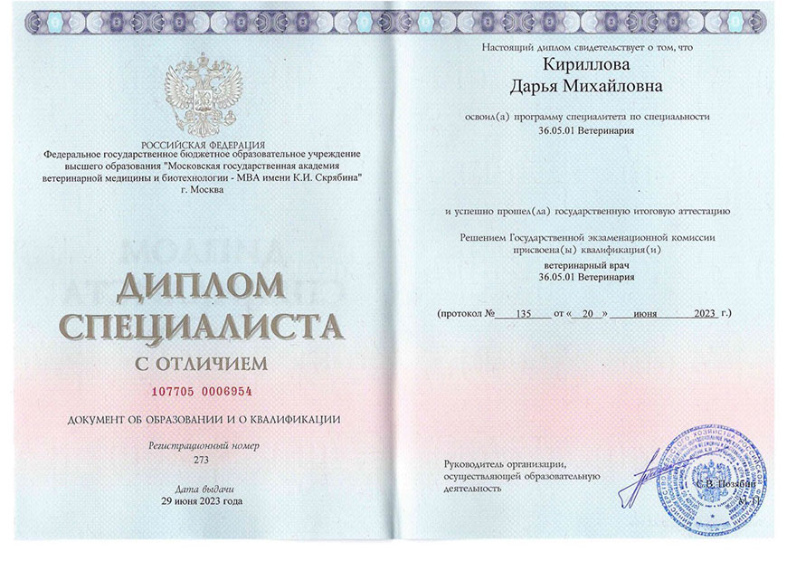 Кириллова Дарья Михайловна